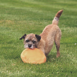 Beco Pets Natural Rubber Frisbee Flyer