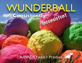 WUNDERball Fetch Toy